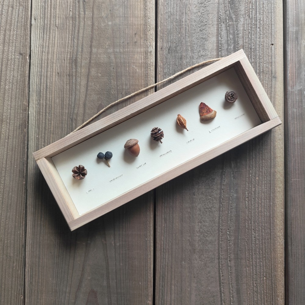 木の実のパネル